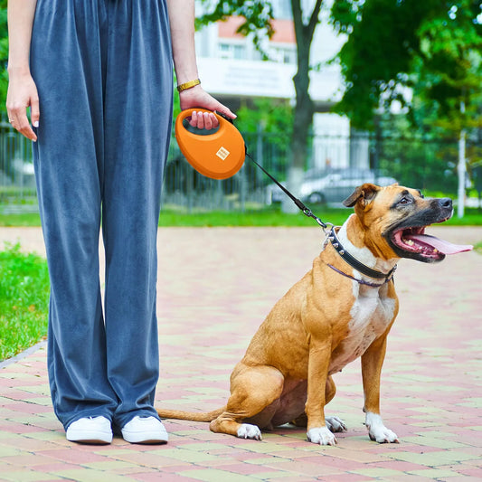 Automatinis šuns pavadėlis WAUDOG su maišelių dėkliuku, S dydis, iki 12 kg