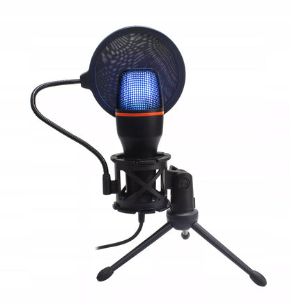 Kompiuterinis kondensatorinis žaidimų, studijinis, karaoke mikrofonas su USB ir filtru