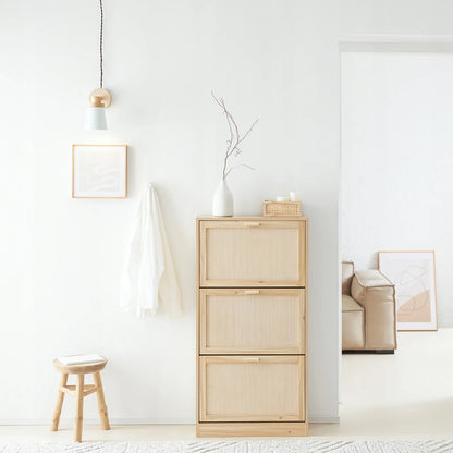 Batus spintelė su 3 skyriais prieškambario staliukas šviesaus ąžuolo spalvos 60x24x118cm FSR159-N