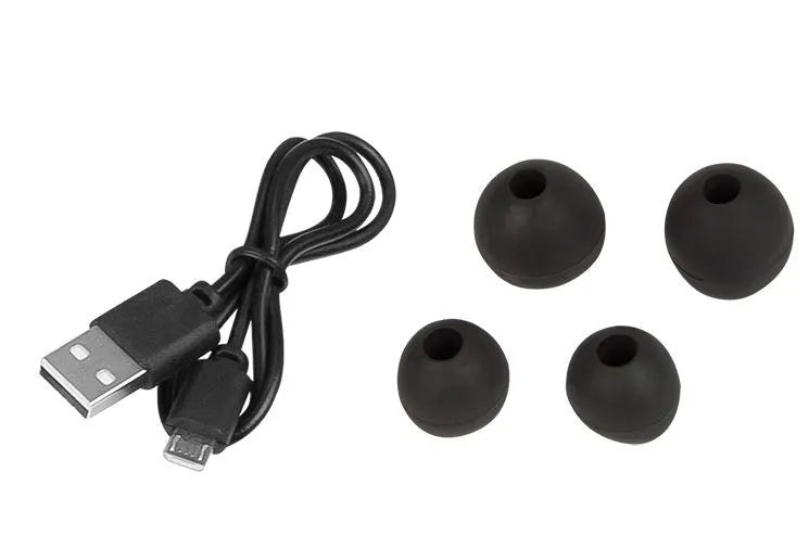 Belaidės įstatomos ausinės Bluetooth 5.1 su įkrovimo dėklu ir mikrofonu BLOW BTE200