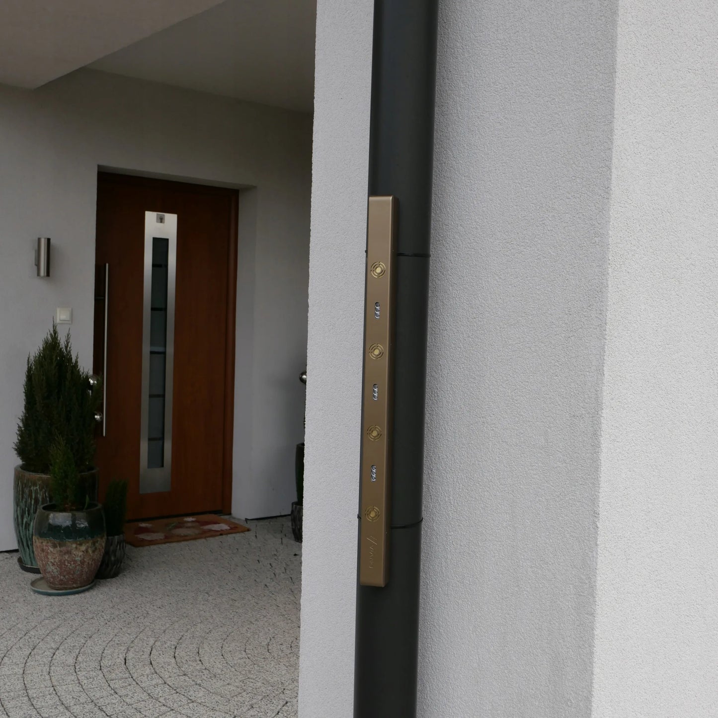 BELAIDIS LONG KURMIŲ, GRAUŽIKŲ, ŽIURKIŲ IR PELIŲ ATBAIDYTUVAS NUO KUNŲ IR GRAUŽIKŲ