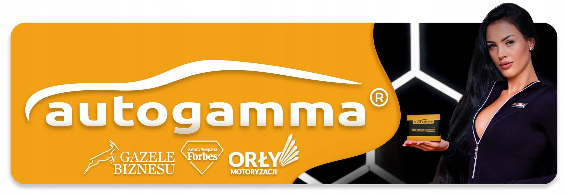 Belaidis rankinis dulkių siurblys 90W automobiliui ir namams, baltas, HEPA