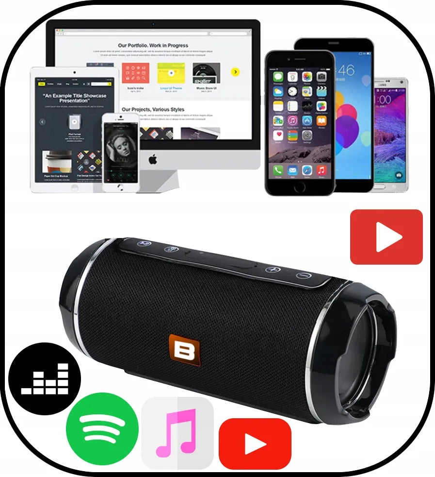 BLOW BT460 nešiojamas Bluetooth garsiakalbis su FM radiju, USB, SD ir AUX jungtimis, juodas