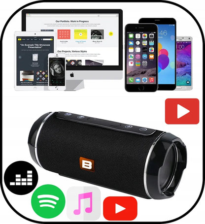 BLOW BT460 nešiojamas Bluetooth garsiakalbis su FM radiju, USB, SD ir AUX jungtimis, juodas