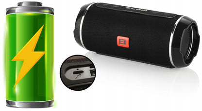 BLOW BT460 nešiojamas Bluetooth garsiakalbis su FM radiju, USB, SD ir AUX jungtimis, juodas