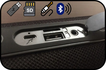 BLOW BT460 nešiojamas Bluetooth garsiakalbis su FM radiju, USB, SD ir AUX jungtimis, juodas