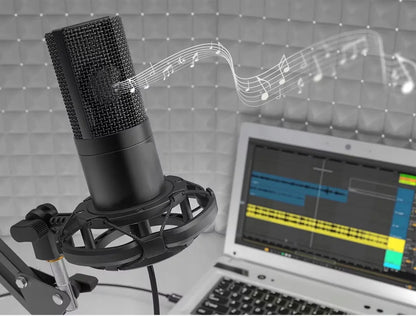 BLOW žaidimų kondensatorinis studijinis kompiuterio mikrofonas su stovu ir USB rinkiniu