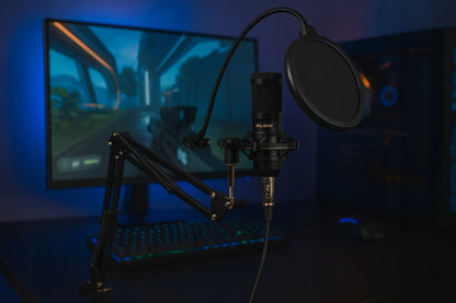 BLOW žaidimų kondensatorinis studijinis kompiuterio mikrofonas su stovu ir USB rinkiniu