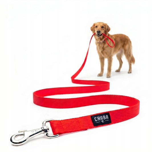 CHABA dresavimo pavadėlis šunims, 15 m, tvirta plati juosta, aukšta kokybė