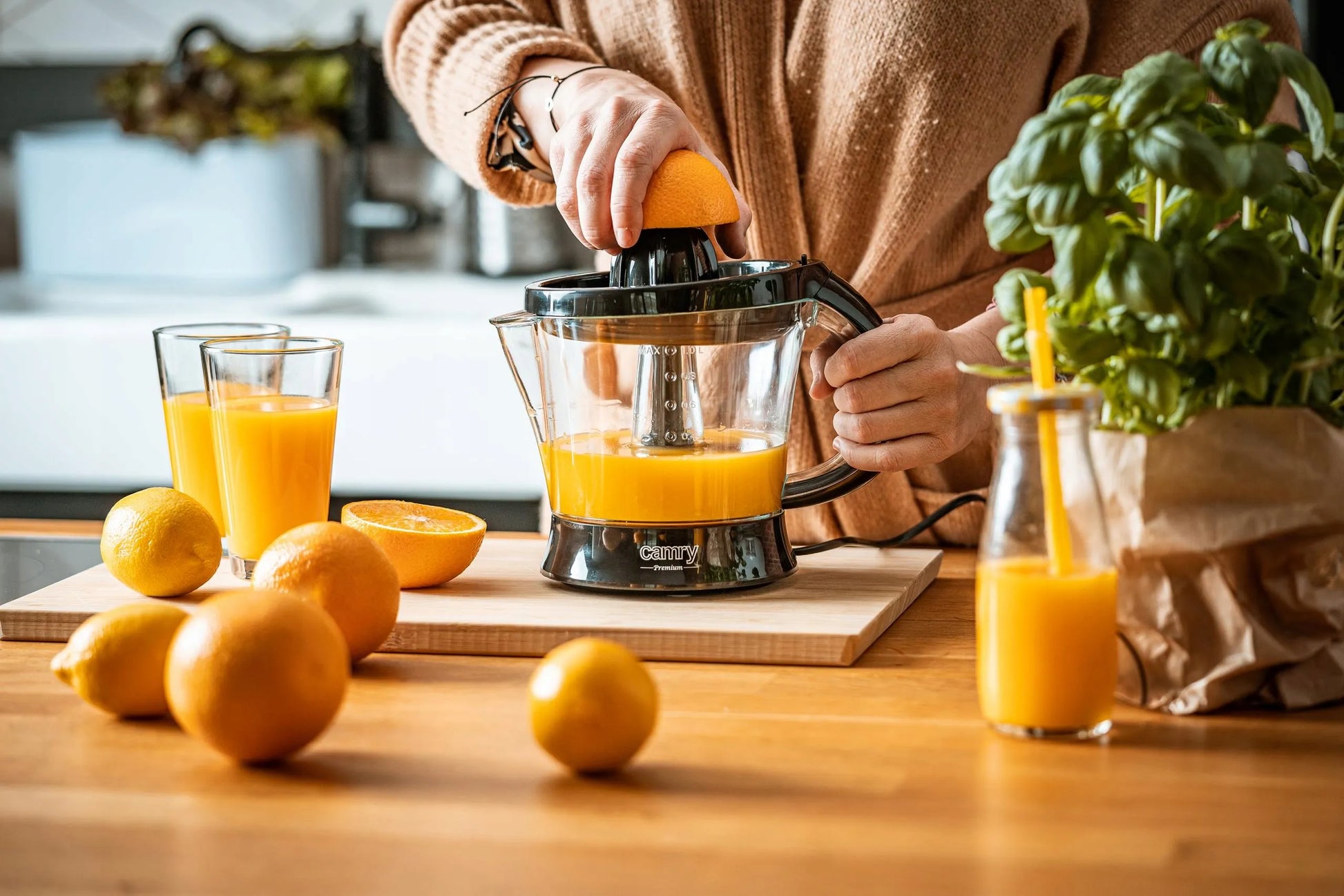 Citrusų sulčiaspaudė virtuvei 60 W, dvikryptė, 2 kūgiai, 1 l talpa
