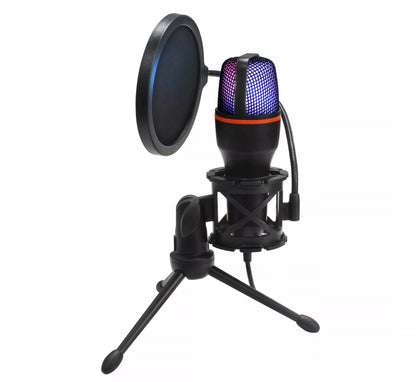 Kompiuterinis kondensatorinis žaidimų, studijinis, karaoke mikrofonas su USB ir filtru