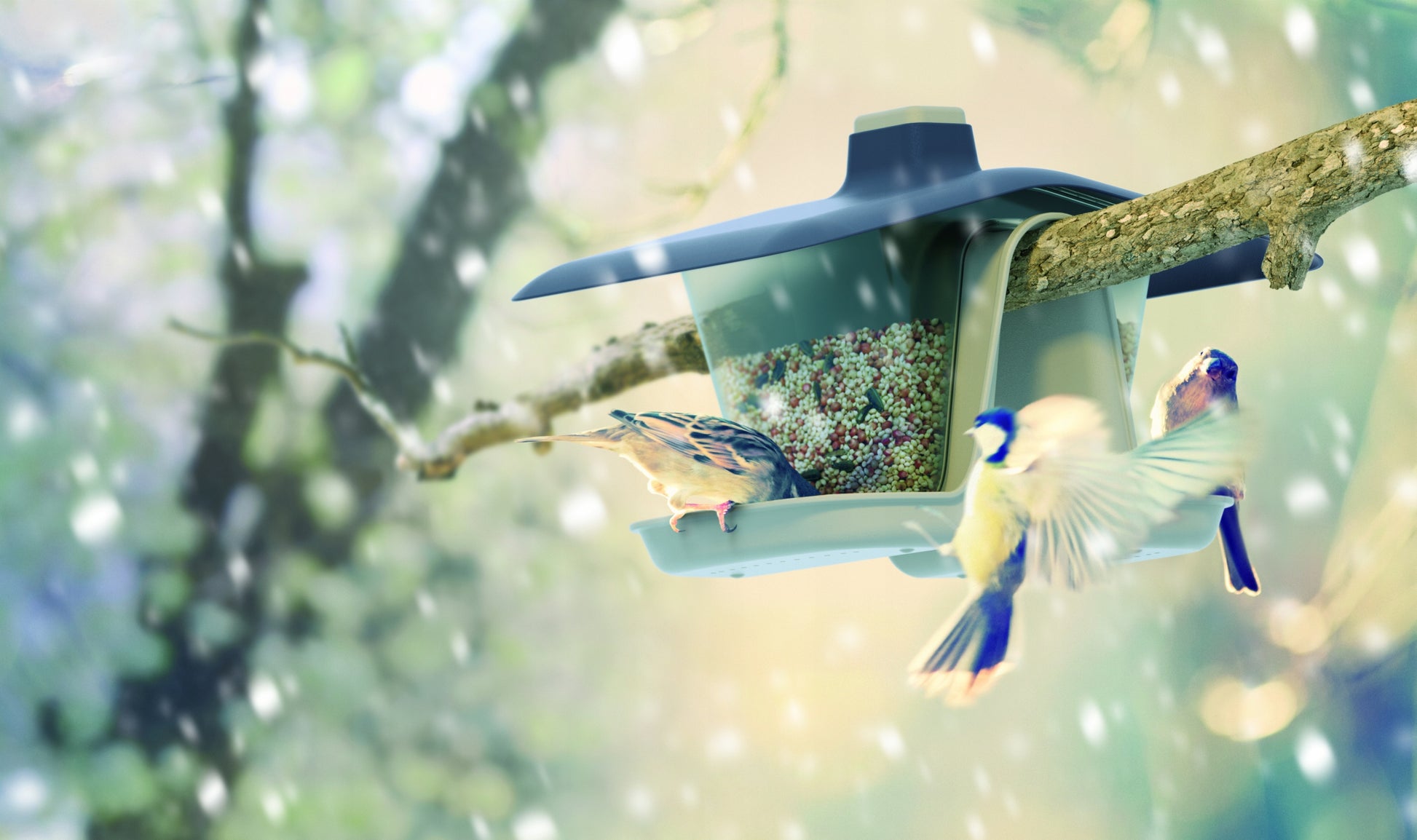 PAUKŠČIŲ LESYKLĖLĖ KABANTIS PLASTIKINIS NAMELIS SKIRTAS GRŪDAMS IR LESALUI SU VIRVELE