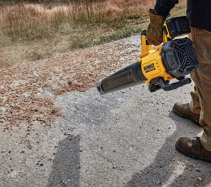 DEWALT Galingas Akumuliatorinis Pūstuvas Lapams, Žolei, Sniego Sodui 18V