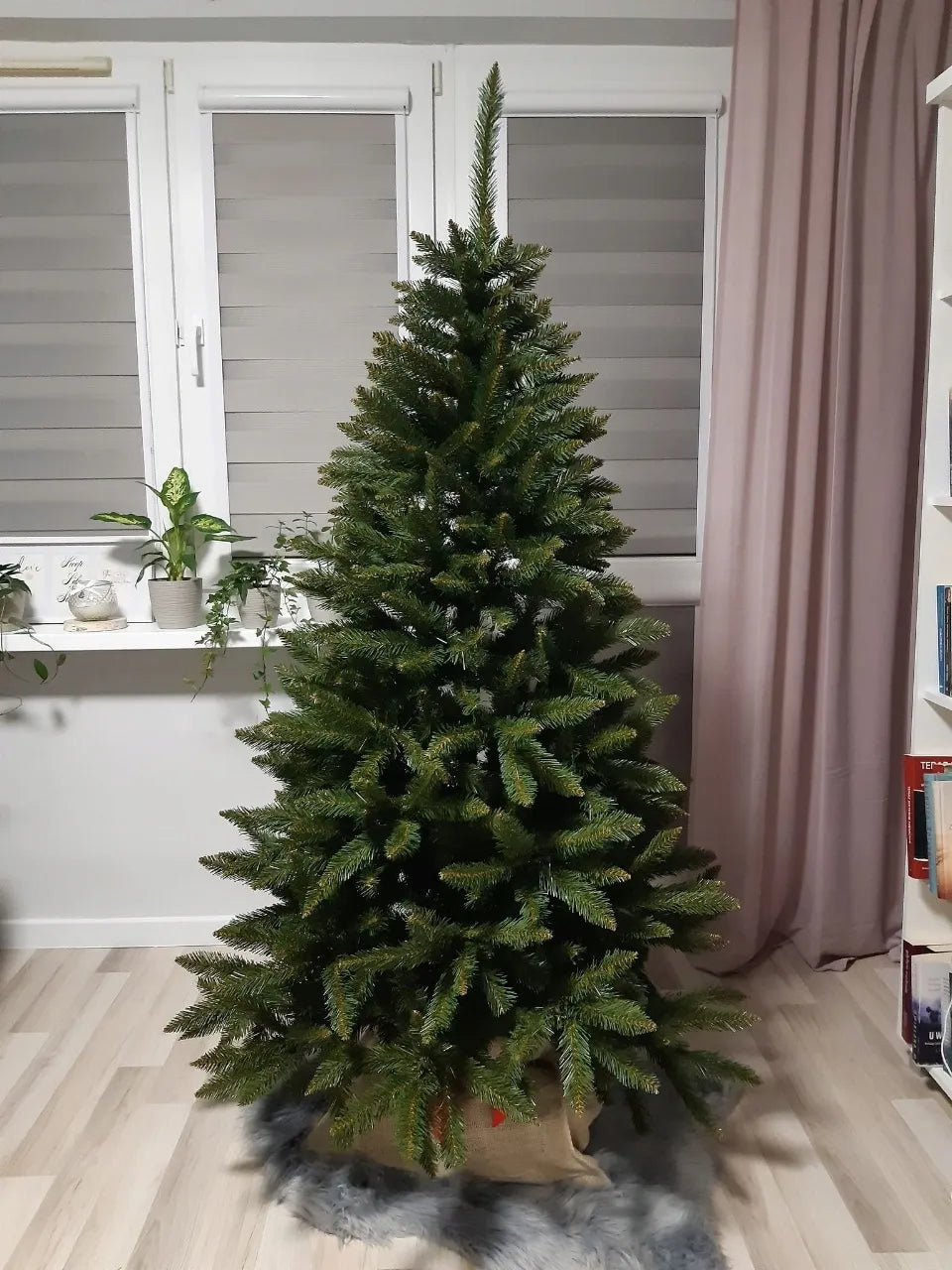 Dirbtinė eglutė 100 cm Kaukazinis kėnis TANKI Kaip gyva lenkiška gamyba