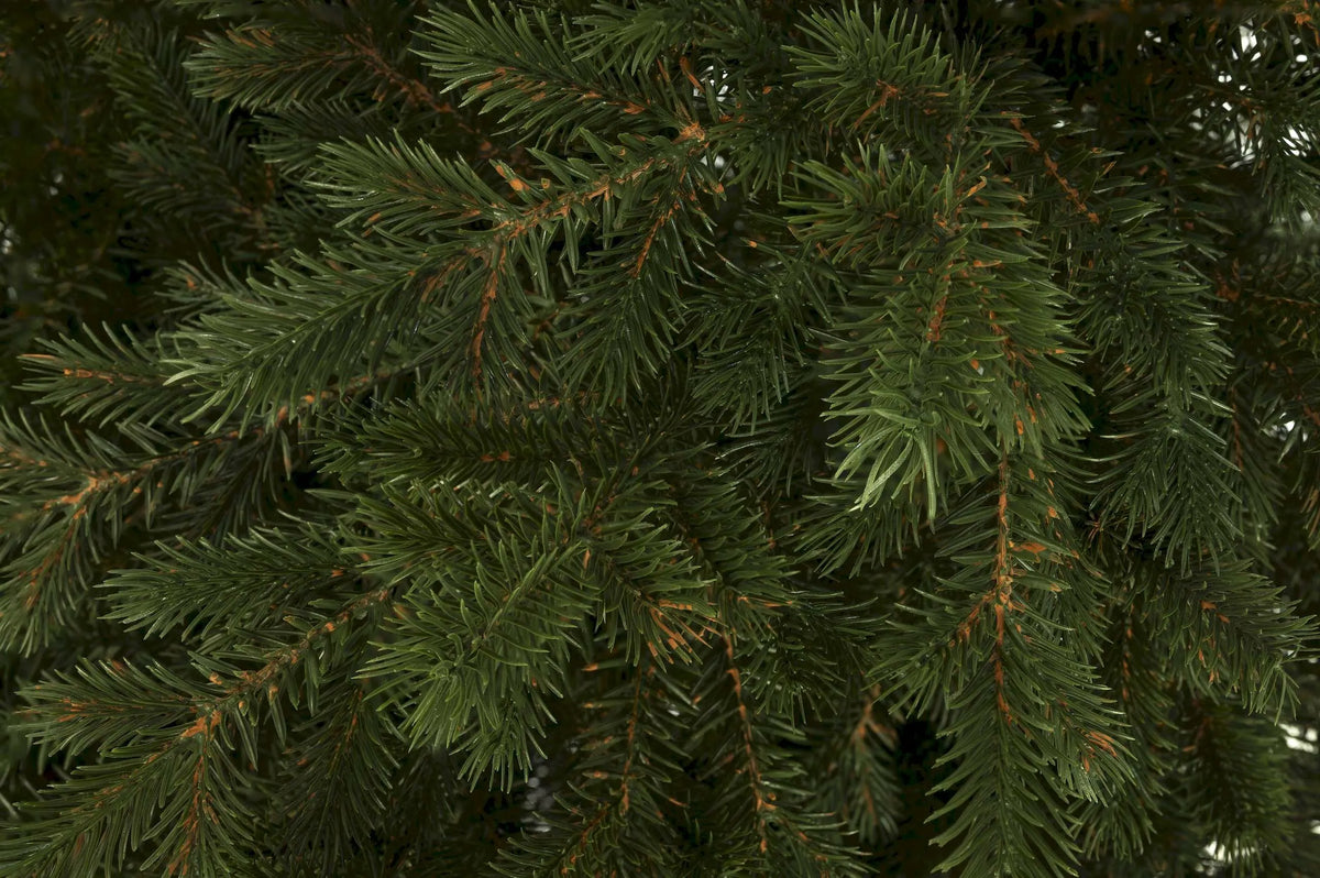 Dirbtinė eglutė Paprastoji eglė IMPERIAL 220 cm kaip gyva 100% PE tanki