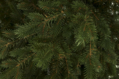 Dirbtinė eglutė Paprastoji eglė IMPERIAL 220 cm kaip gyva 100% PE tanki
