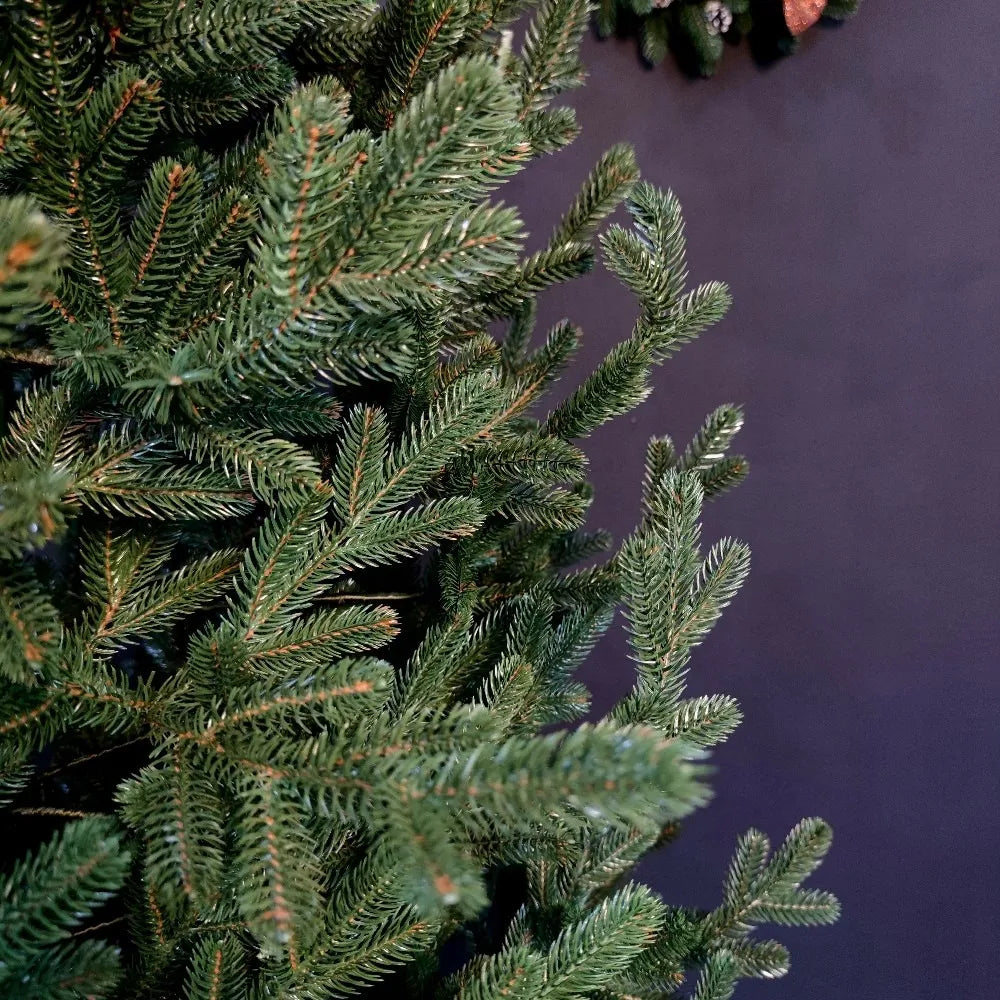 Dirbtinė PE eglutė „Viedenski“, 2,10 m