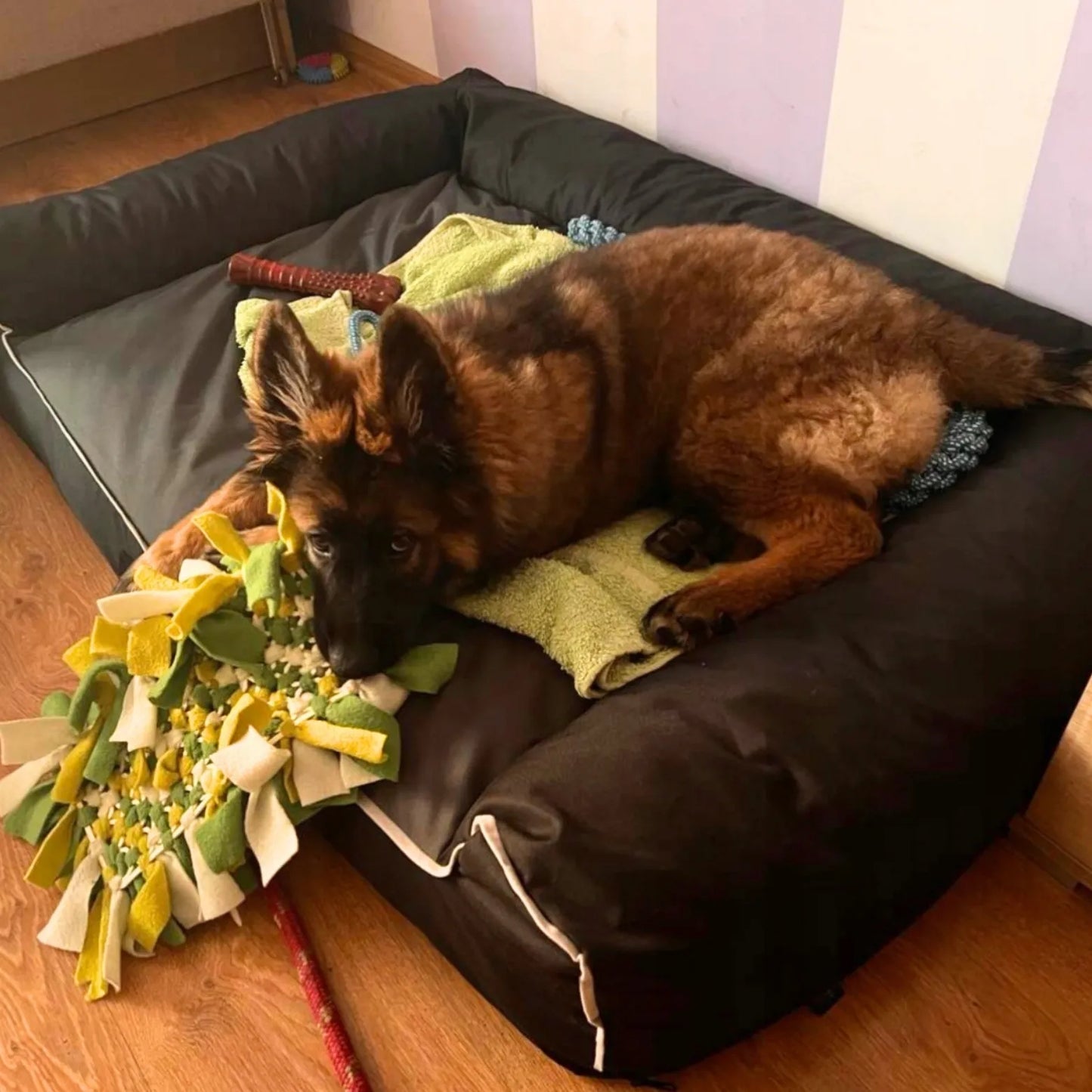 DOGESTE XL šunų guolis – vandeniui atspari sofa su NEMOKAMU graviravimu 100x65 cm