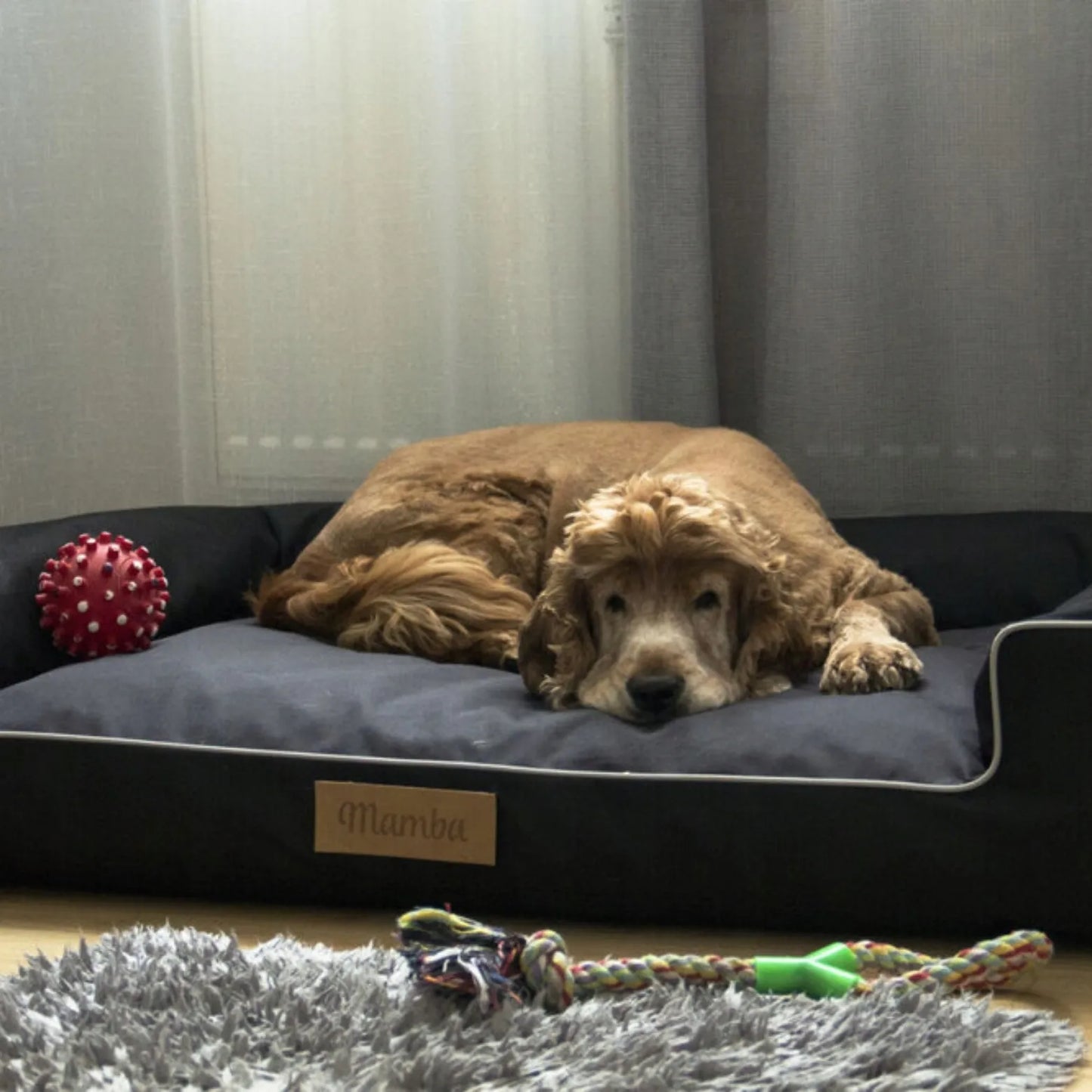 DOGESTE XL šunų guolis – vandeniui atspari sofa su NEMOKAMU graviravimu 100x65 cm