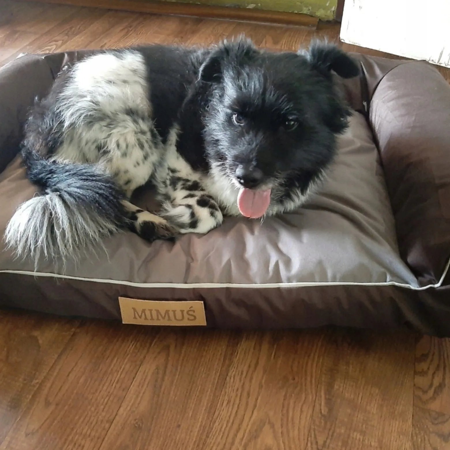 DOGESTE XL šunų guolis – vandeniui atspari sofa su NEMOKAMU graviravimu 100x65 cm