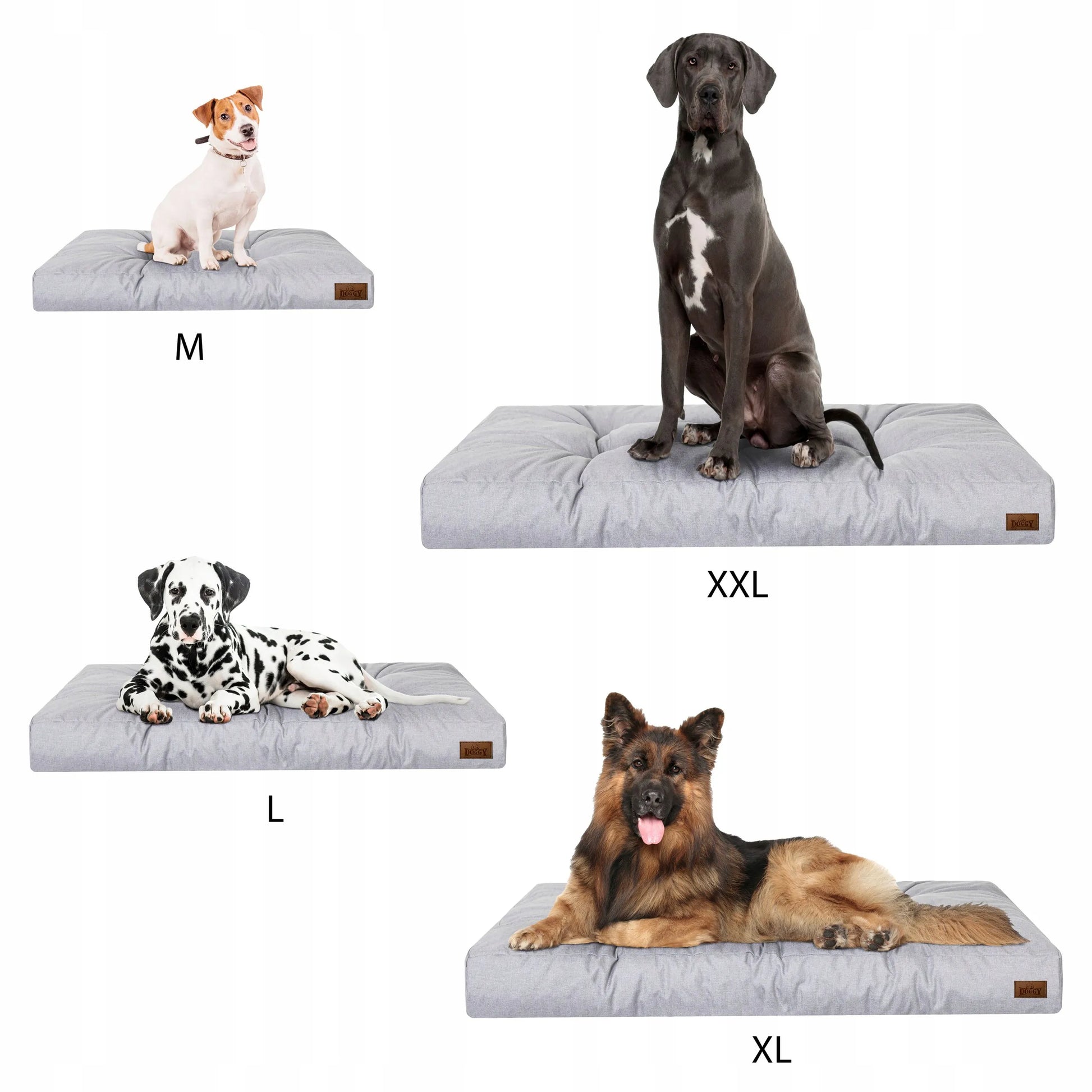Doggy GRAND LIGHT XXL dygsniuotas vandeniui atsparus šunų guolis 130x100 cm