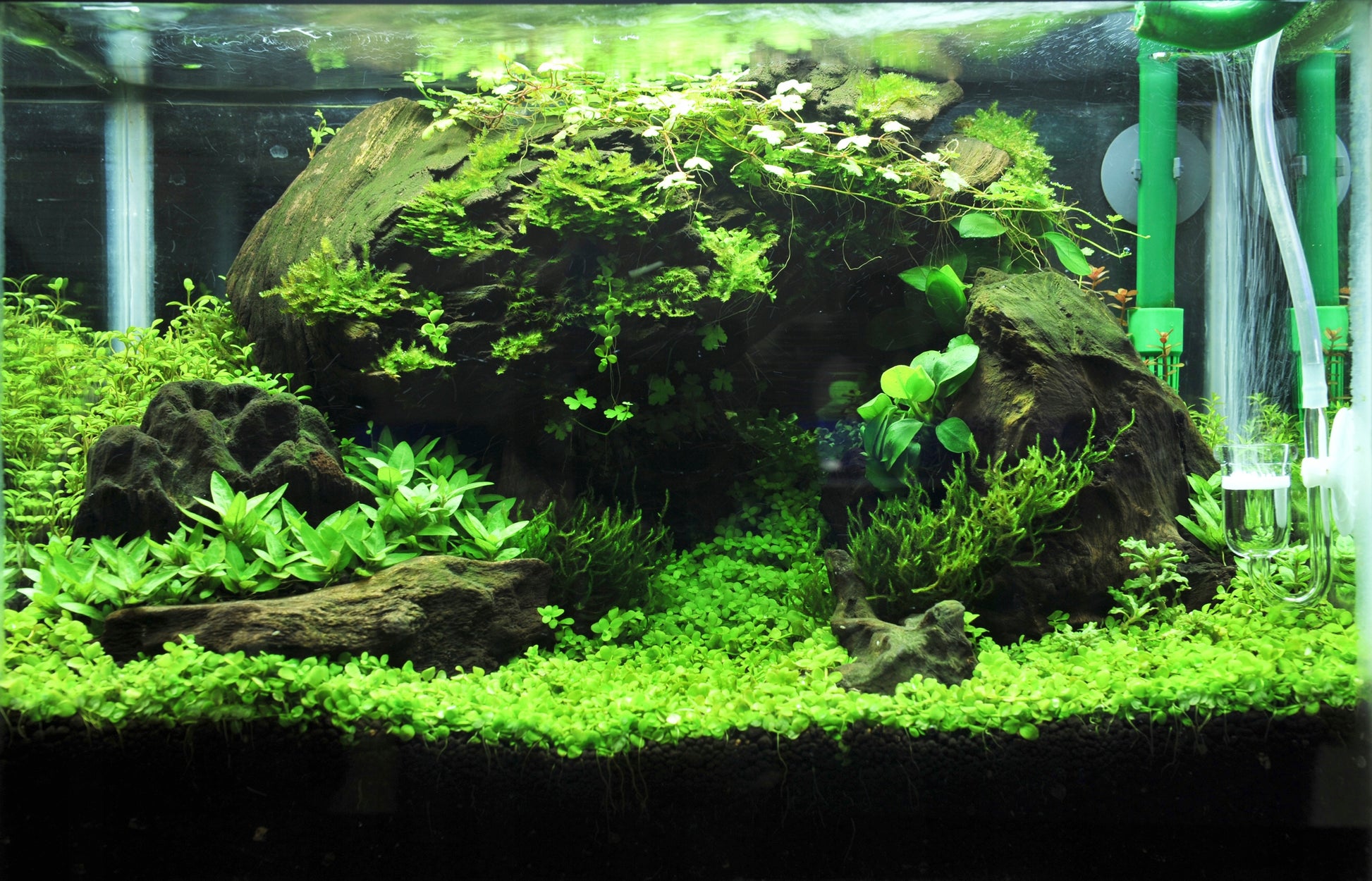LED apšvietimas akvariumui LED lempa akvariumui NANO SPECTRUM LED JUOSTA