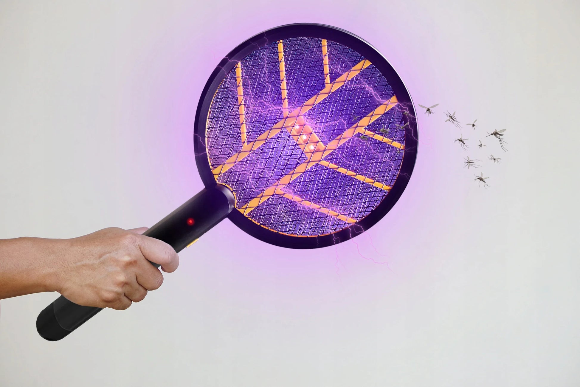 Elektrinė musgaudė ir vabzdžių naikinimo lempa No Pest®