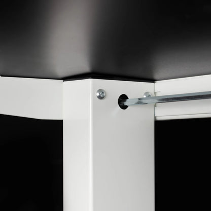 Elektriškai reguliuojamas stalas Control Flex+ 138/67 LVNSystem baltas juodas