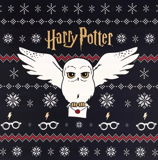 ELOY Harry Potter advento kalendorius su papuošalais, 24 vnt., riboto leidimo rinkinys