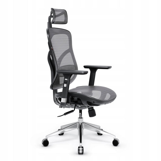 Ergonominė biuro kėdė Diablo V-Basic, juoda-pilka