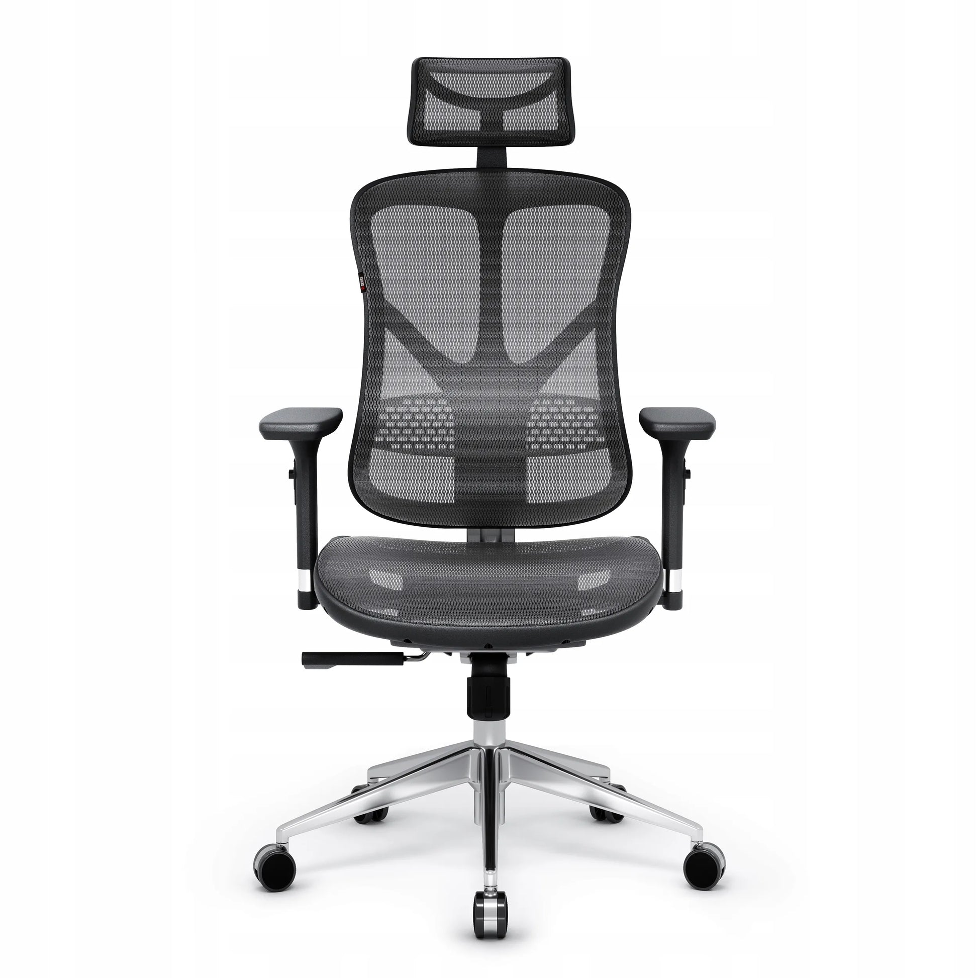 Ergonominė biuro kėdė Diablo V-Basic, juoda-pilka