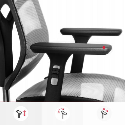 Ergonominė biuro kėdė Diablo V-Basic, juoda-pilka