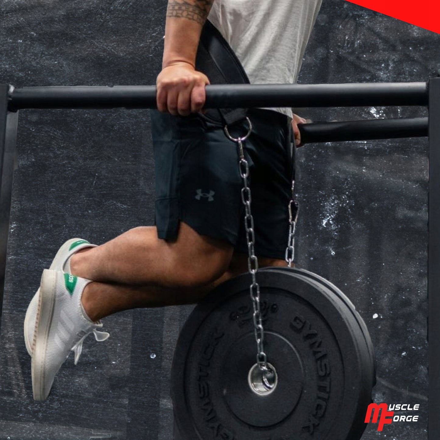 Diržas Dips papildomam svoriui, tvirtas, 240 kg, su grandine