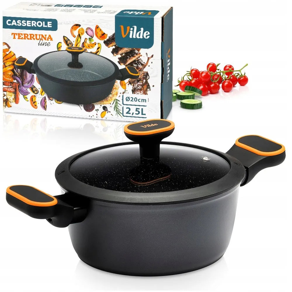 Granitinis puodas su dangčiu VILDE 20 cm, 2,5 l