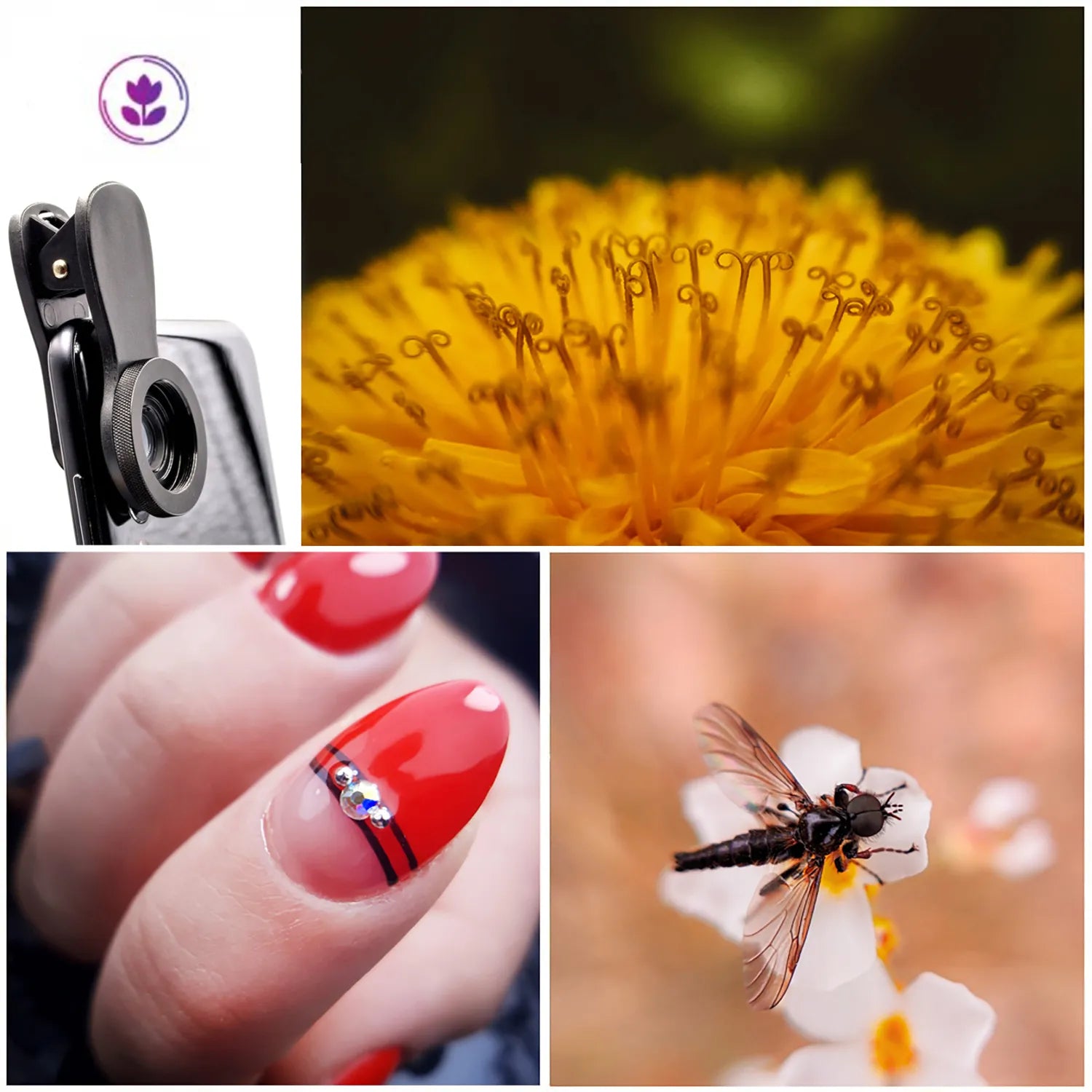 Išmaniojo telefono objektyvas: „Macro“ + plataus kampo – Focus PRO