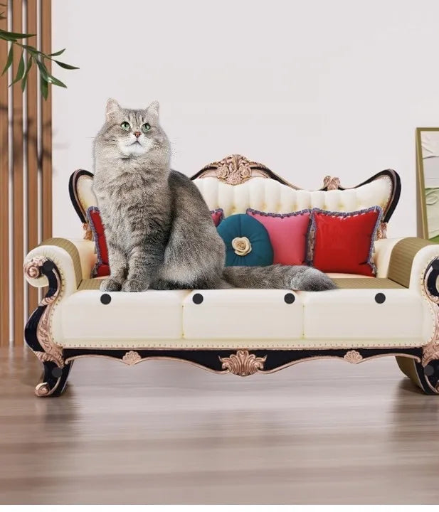 Kartoninis draskyklė katei, gulta, sofa, 60 cm