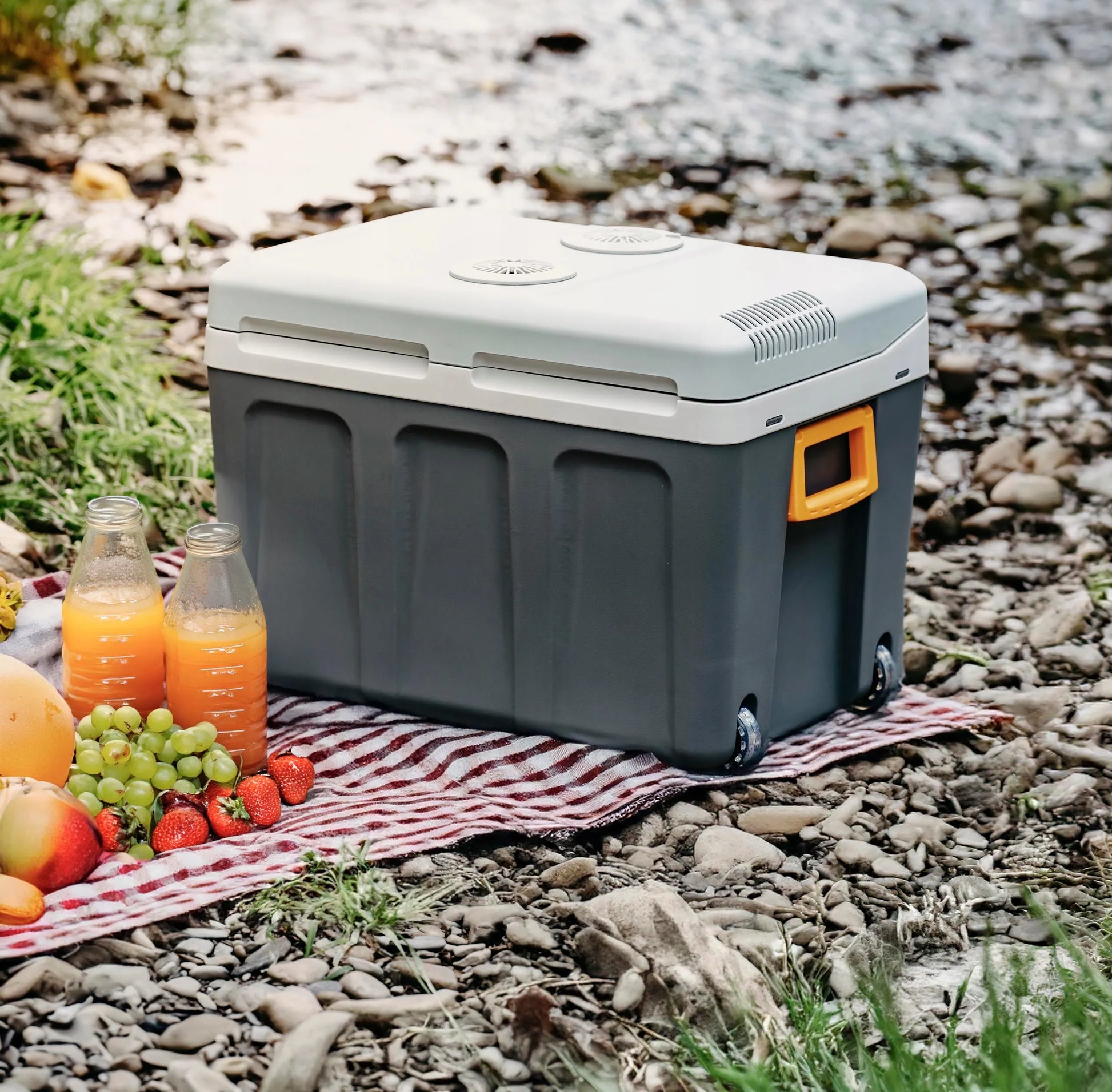 Nešiojamas elektrinis kelioninis šaltkrepšis Adler 40L, 12V/230V