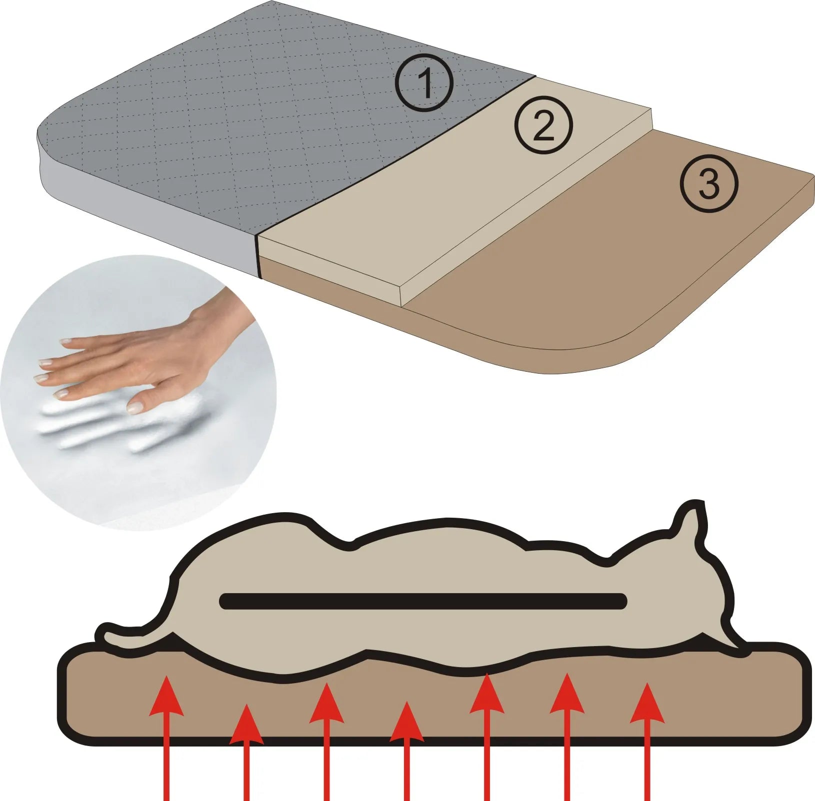 Ortopedinė šuns guolė - guolis šunims, storas čiužinys - 75 cm x 50 cm