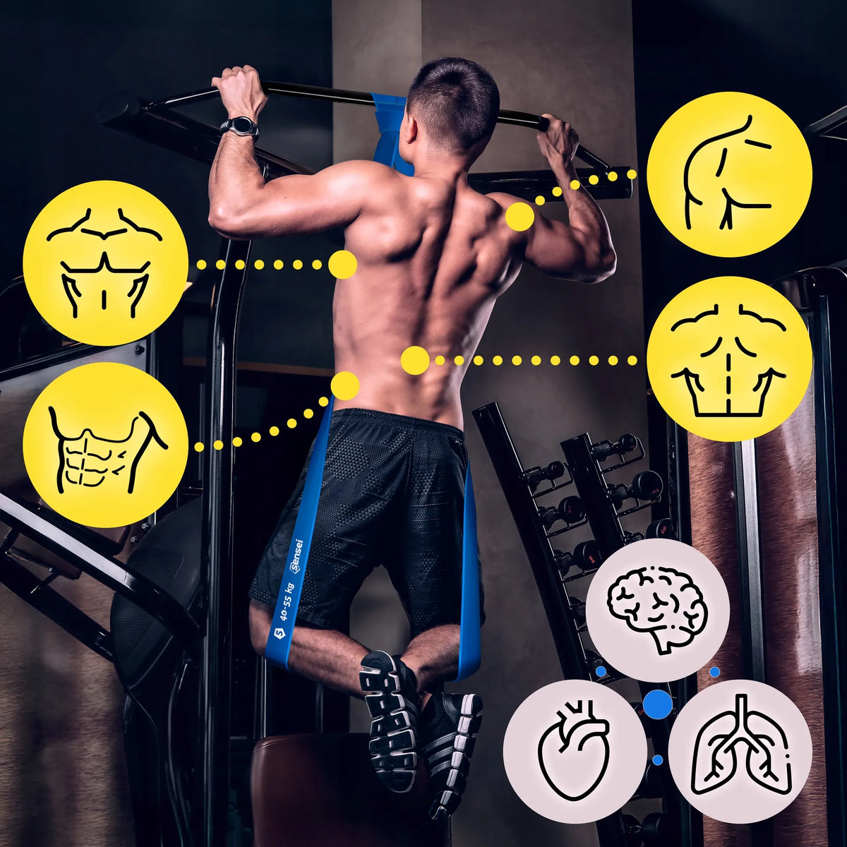 „Sensei Power Band“ pasipriešinimo guma 40–55 kg, guma pratimams ir prisitraukimų treniruotėms