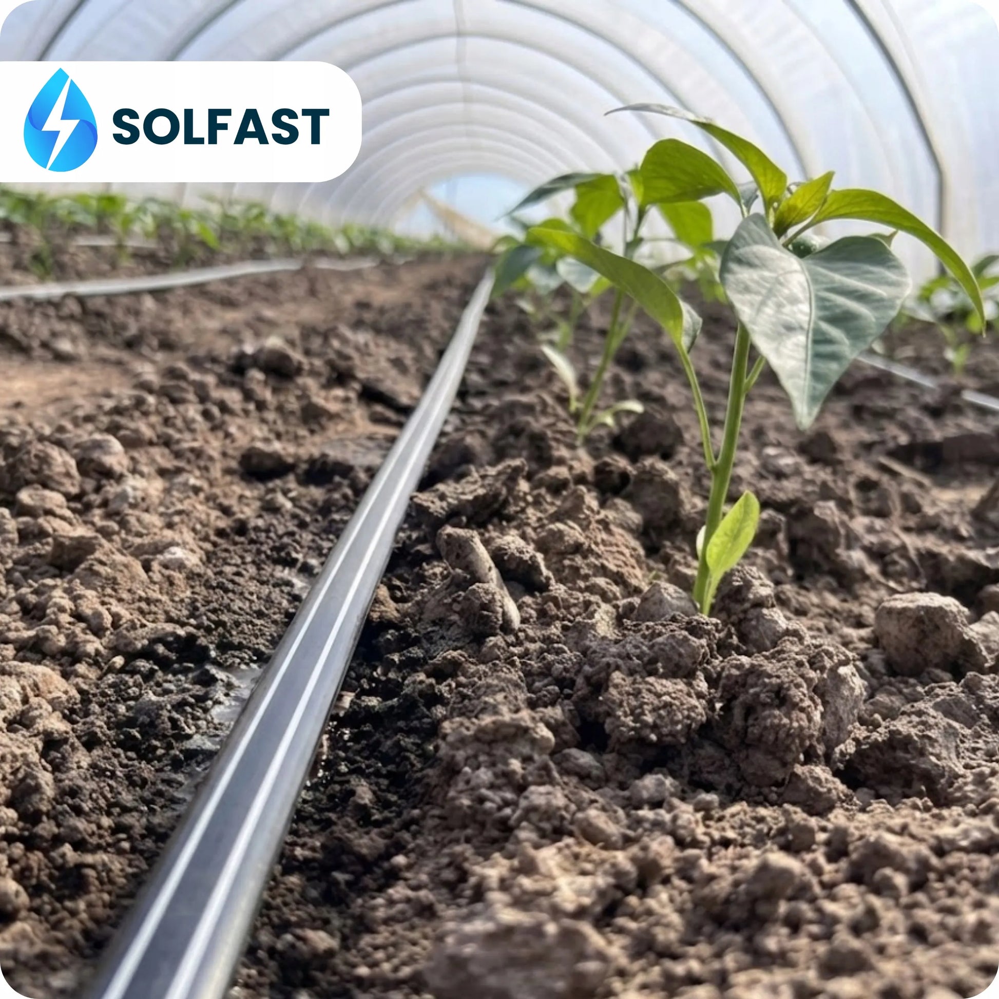 SOLFAST laistymo juosta 10 cm, 100 m, lašelinio drėkinimo sistema