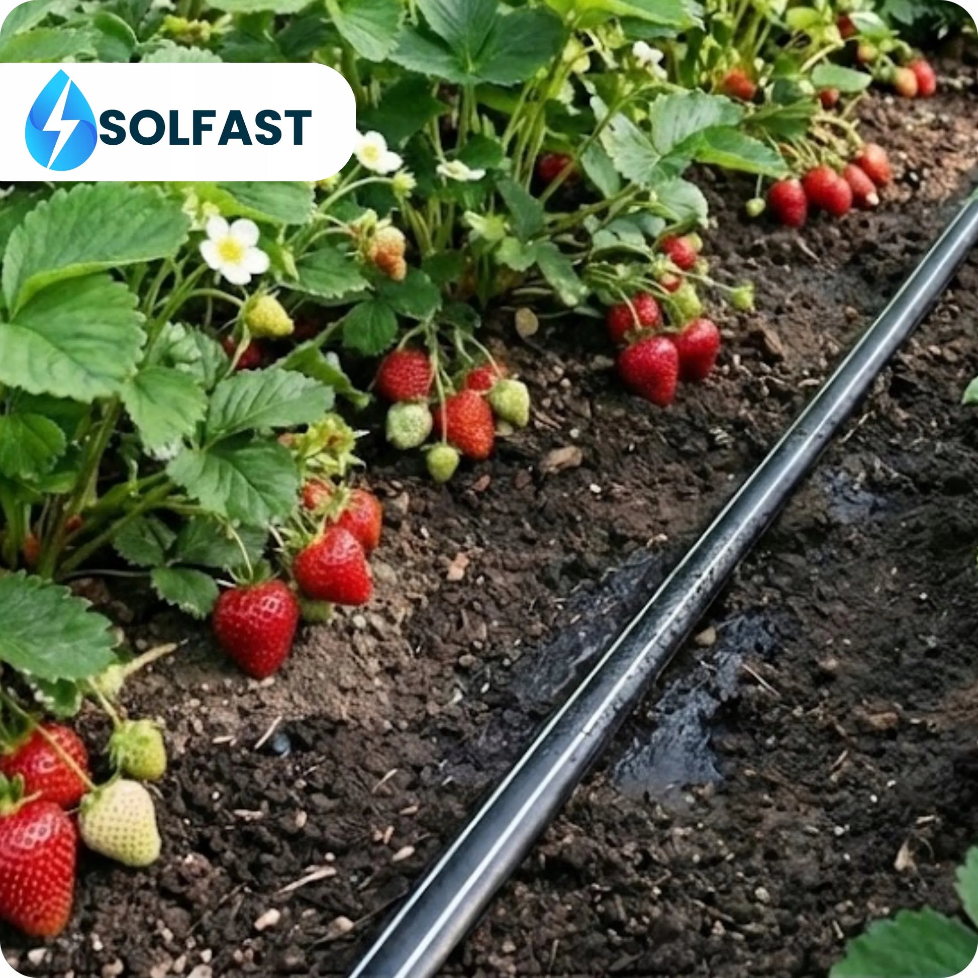 SOLFAST laistymo juosta 10 cm, 100 m, lašelinio drėkinimo sistema