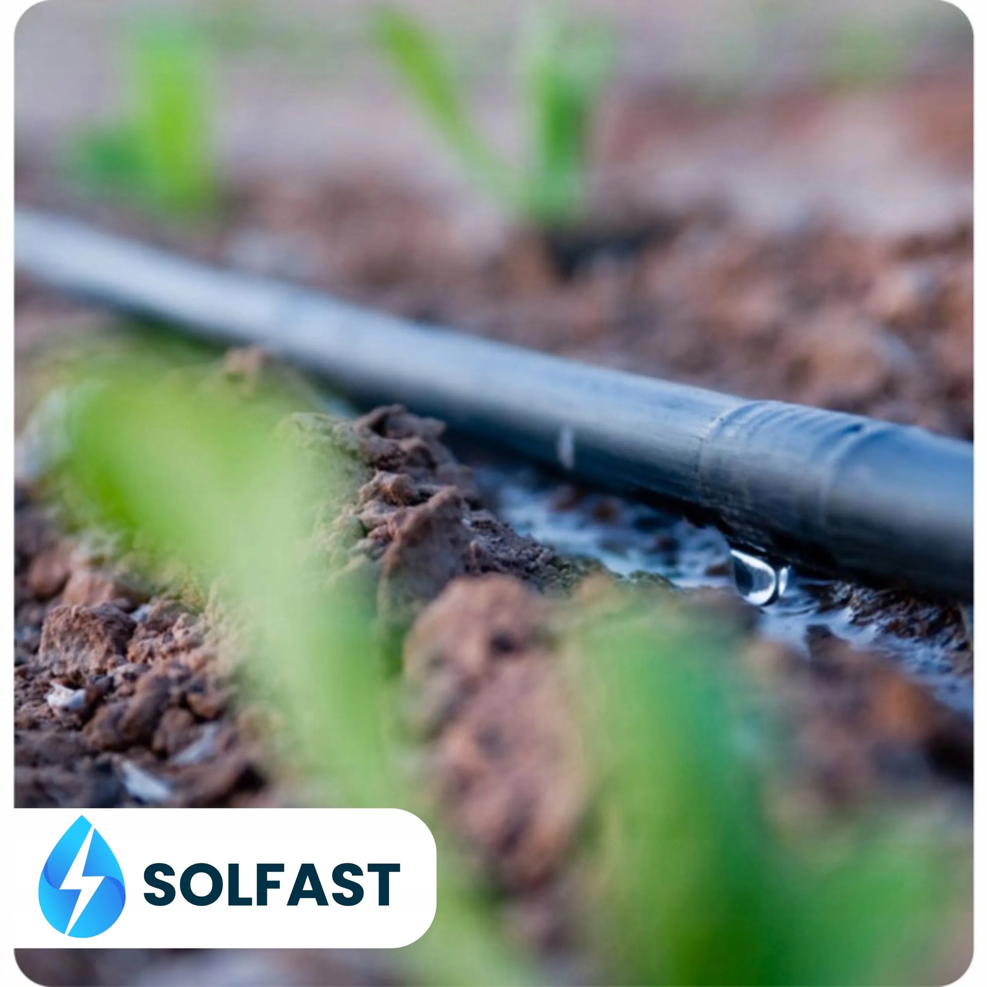 SOLFAST laistymo žarna su slėgio kompensavimu, 100 m, lašelinis laistymas