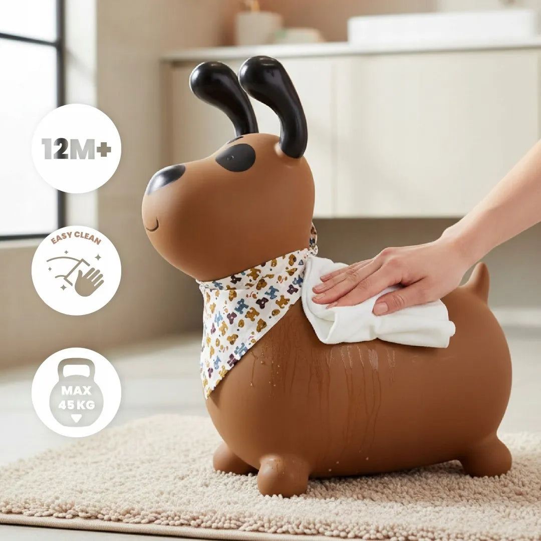 Sun Baby guminis šokliukas vaikams „REKSIO“ su pompa ir bandana