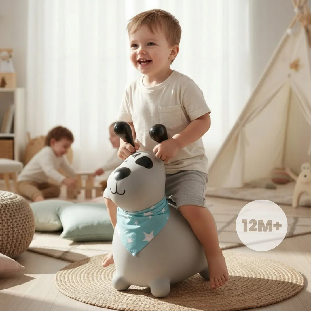 „Sun Baby REKSIO“ guminis šokliukas vaikams su pompa ir bandana