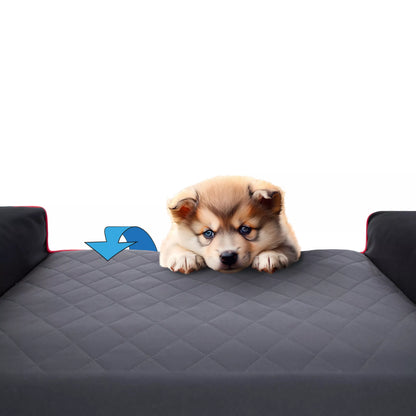 Šuns lova, Sofa Vandeniui atspari Nuimamas užvalkalas XL 100x65 cm