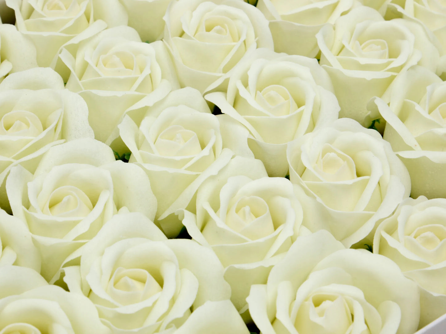 Šviečiančios muilo rožės 50 vnt. - muilo gėlių galvutės „flower box“ dekoracijoms