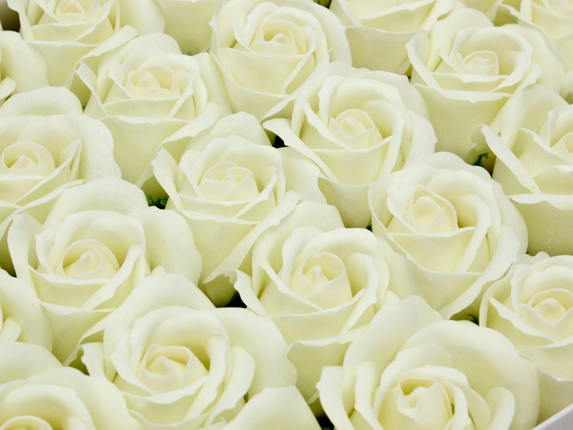 Šviečiančios muilo rožės 50 vnt. - muilo gėlių galvutės „flower box“ dekoracijoms