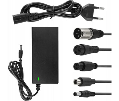 Universalus įkroviklis elektriniam paspirtukui 42V + jungtys