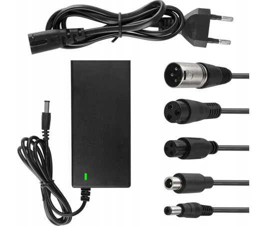Universalus įkroviklis elektriniam paspirtukui 42V + jungtys