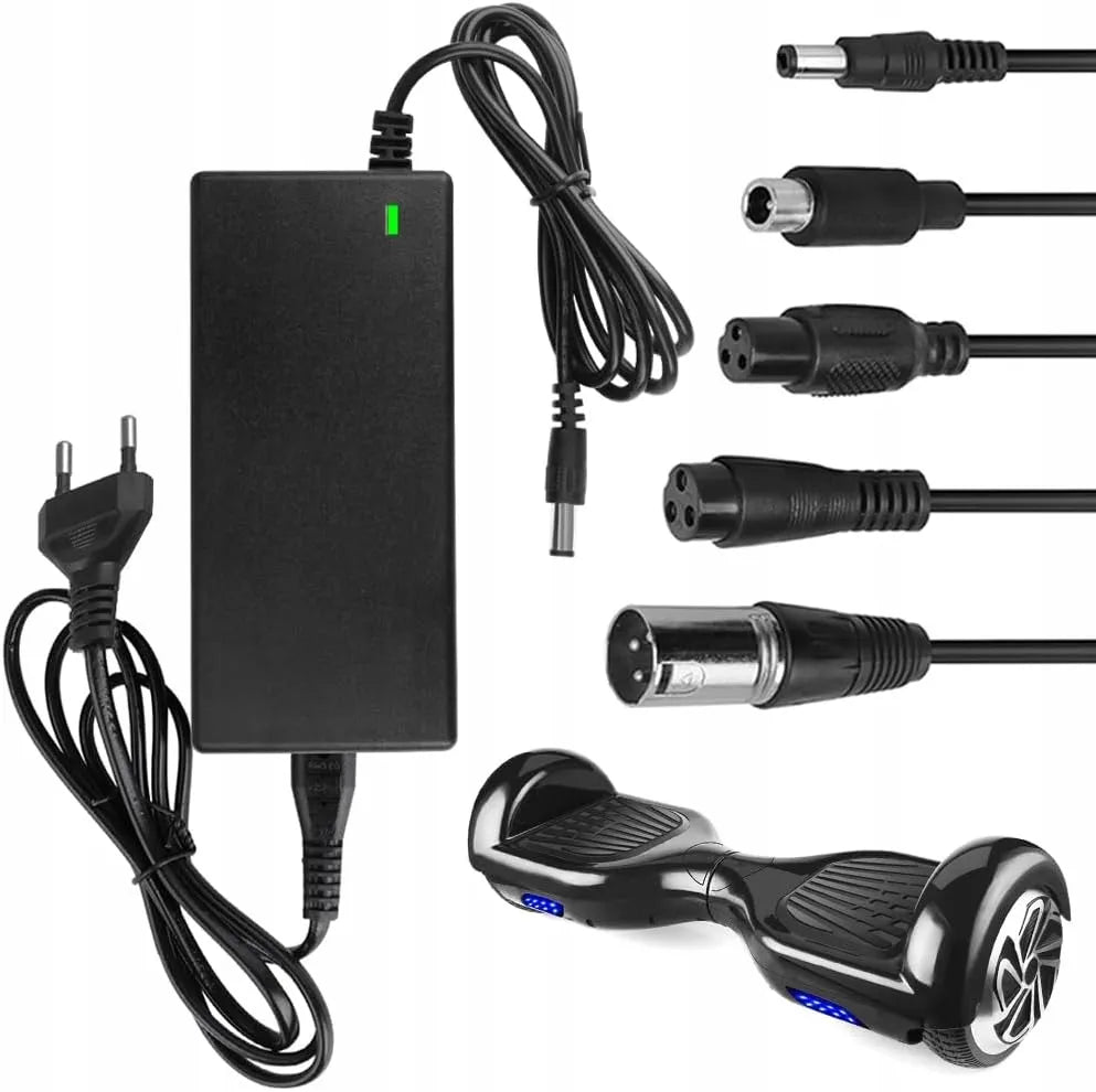 Universalus įkroviklis elektriniam paspirtukui 42V + jungtys